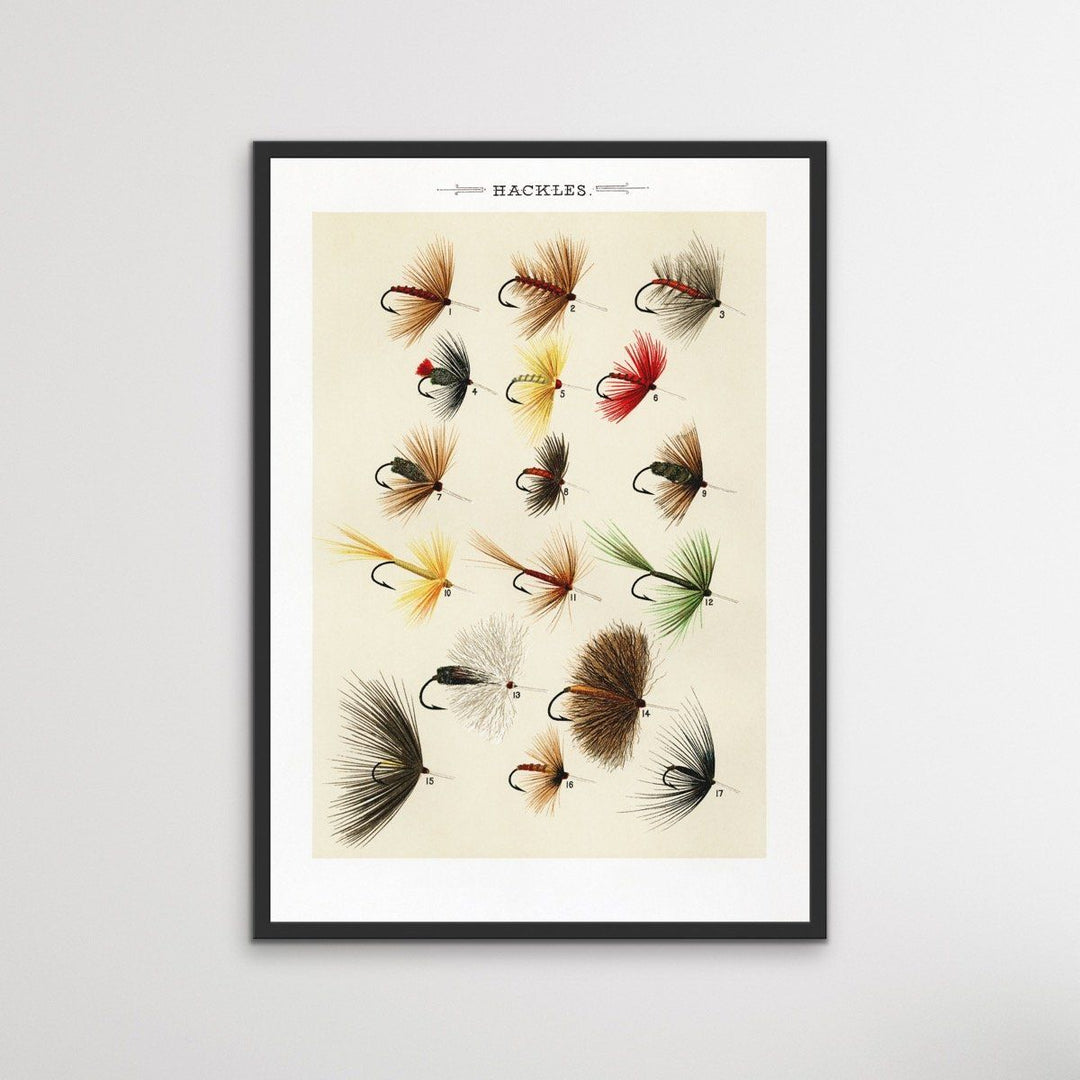 Hackles - Vintage Fly Fishing Poster - I Heart Wall Art