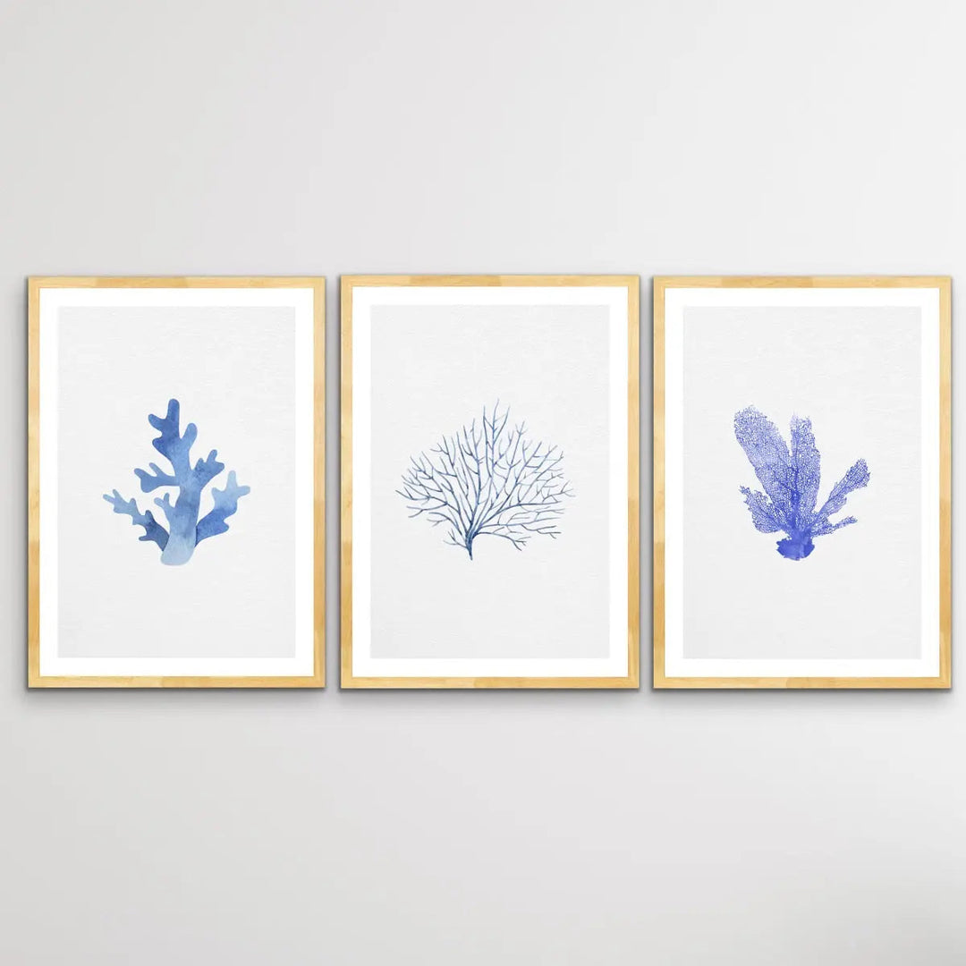 Hamptons Blue Coral Seaside Wall Art Prints - Three Piece Art Print Triptych - I Heart Wall Art