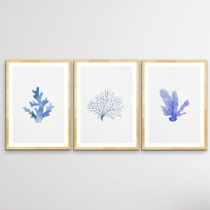 Hamptons Blue Coral Seaside Wall Art Prints - Three Piece Art Print Triptych - I Heart Wall Art