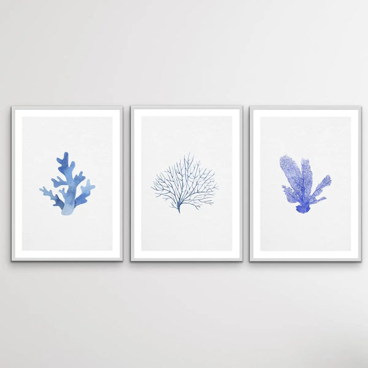 Hamptons Blue Coral Seaside Wall Art Prints - Three Piece Art Print Triptych - I Heart Wall Art