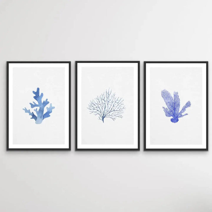 Hamptons Blue Coral Seaside Wall Art Prints - Three Piece Art Print Triptych - I Heart Wall Art - Poster Print, Canvas Print or Framed Art Print