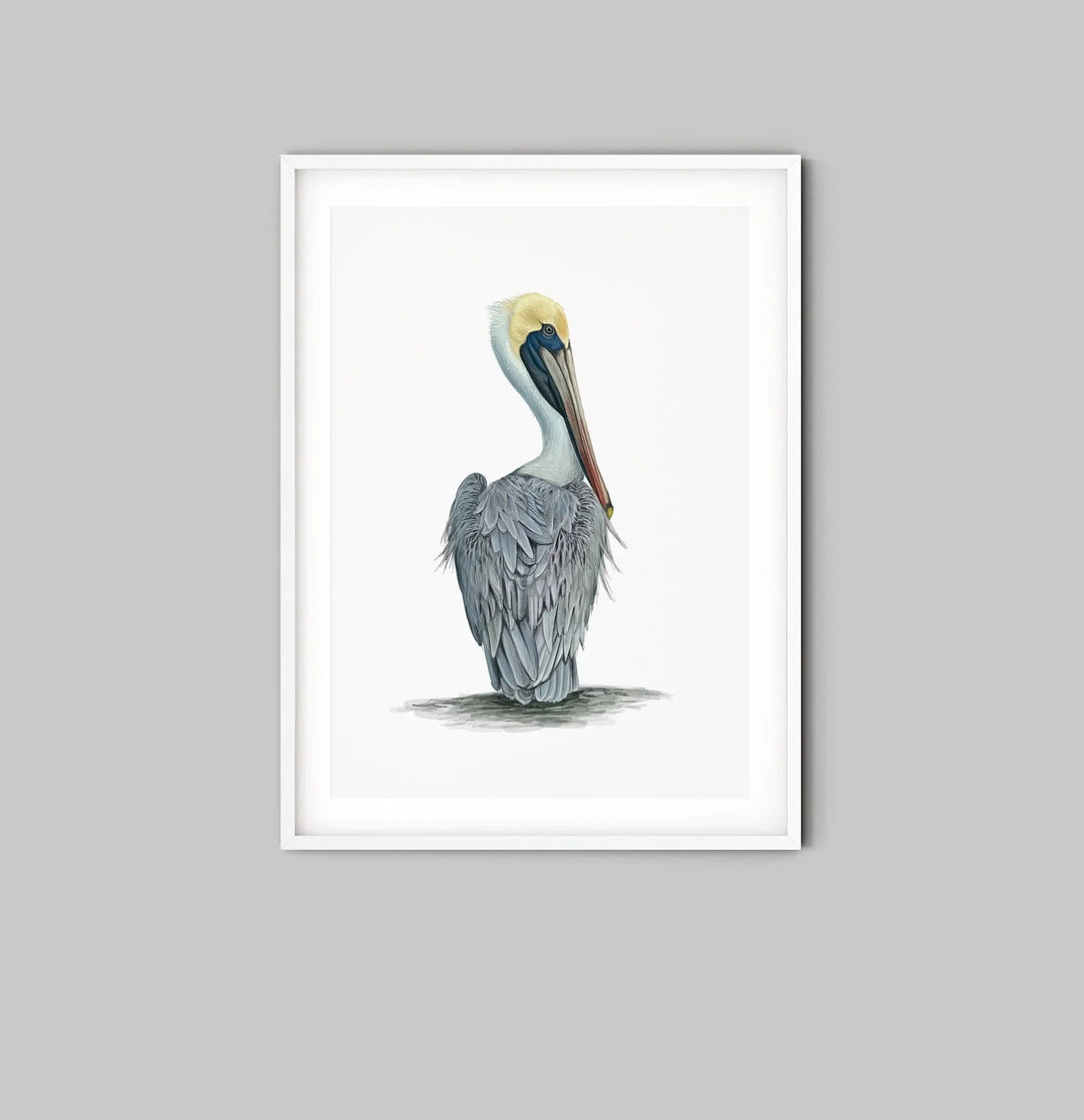 Hamptons Pelican - Watercolour Pelican On A White Backdrop - I Heart Wall Art