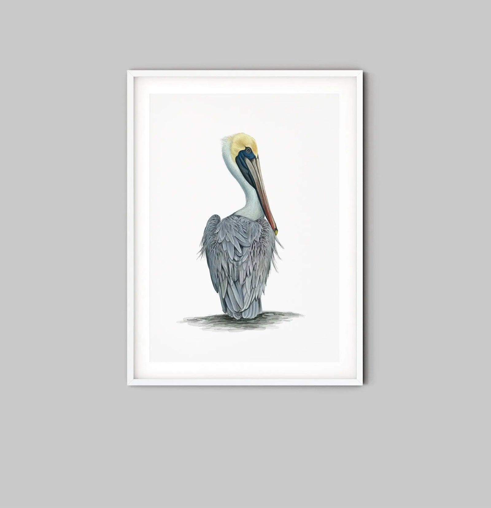 Hamptons Pelican - Watercolour Pelican On A White Backdrop - I Heart Wall Art