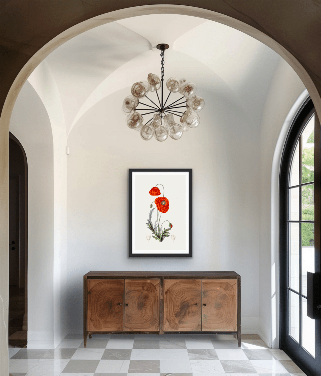 Hand Drawn Red Poppy - Botanical Illustration Stretched Canvas or Wall Art Print - I Heart Wall Art - Poster Print, Canvas Print or Framed Art Print