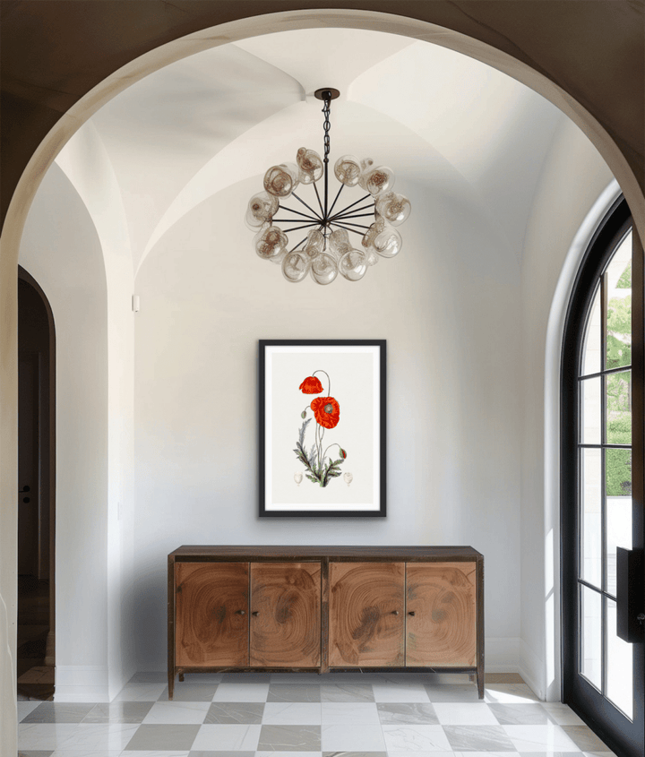 Hand Drawn Red Poppy - Botanical Illustration Stretched Canvas or Wall Art Print - I Heart Wall Art - Poster Print, Canvas Print or Framed Art Print