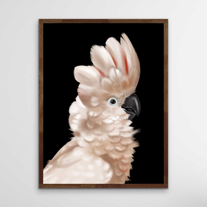 Henry The Moluccan - Henry The Moluccan Wall Art Print Stretched Canvas Wall Art I Heart Wall Art Australia 