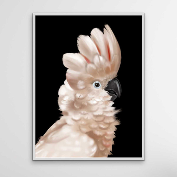 Henry The Moluccan - Henry The Moluccan Wall Art Print Stretched Canvas Wall Art I Heart Wall Art Australia 