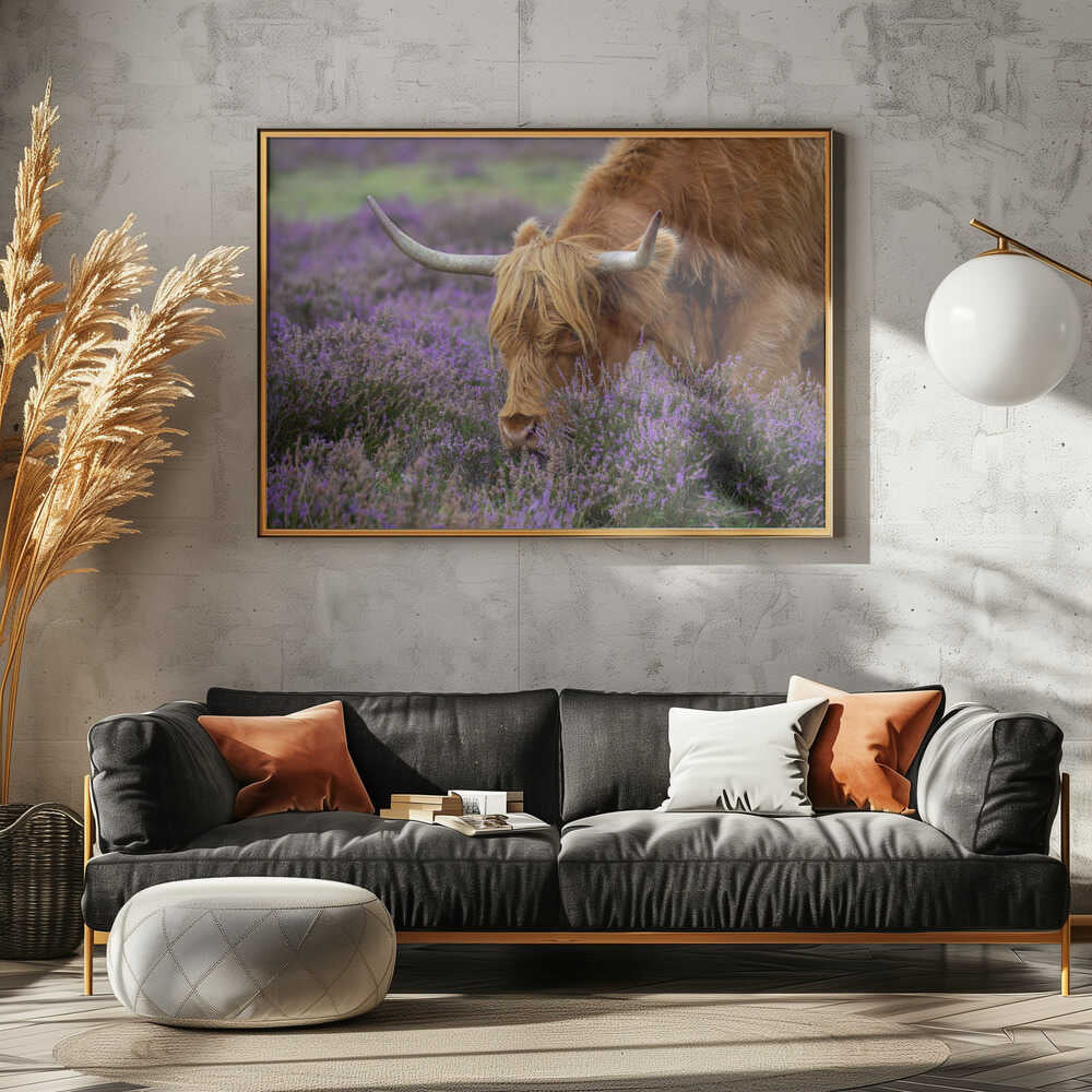 Highland Cow in Heather - Floral Photographic Stretched Canvas Poster or Fine Art Print