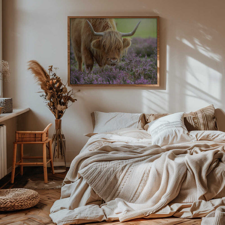 Highland Cow in Heather - Floral Photographic Stretched Canvas Poster or Fine Art Print