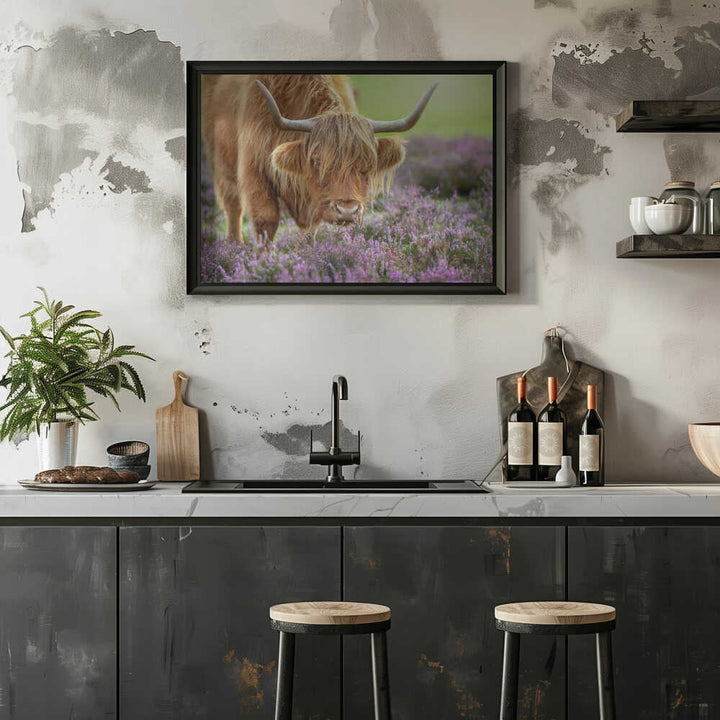 Highland Cow in Heather - Floral Photographic Stretched Canvas Poster or Fine Art Print