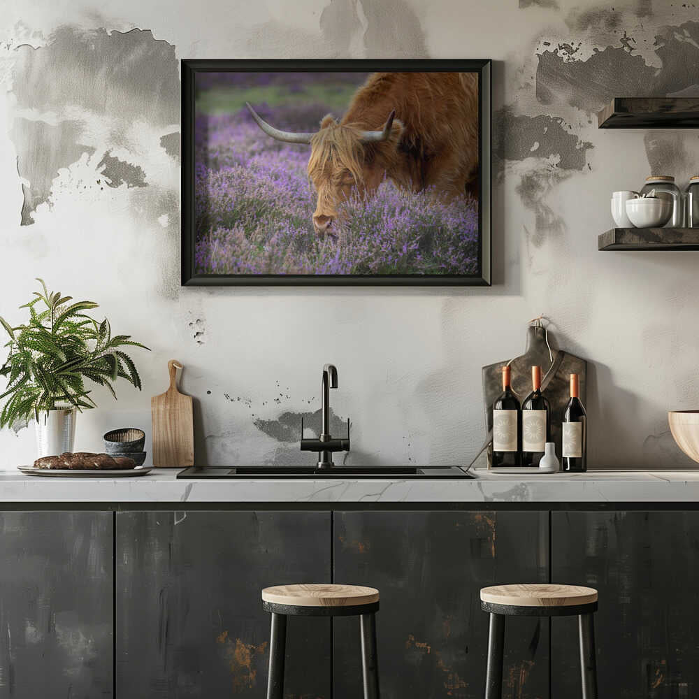 Highland Cow in Heather - Floral Photographic Stretched Canvas Poster or Fine Art Print