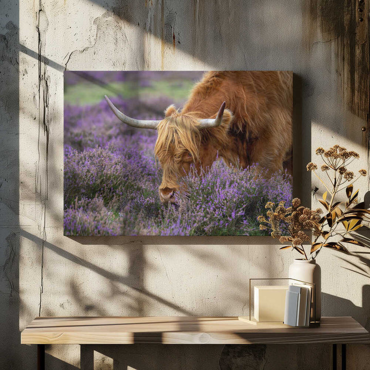 Highland Cow in Heather - Floral Photographic Stretched Canvas Poster or Fine Art Print
