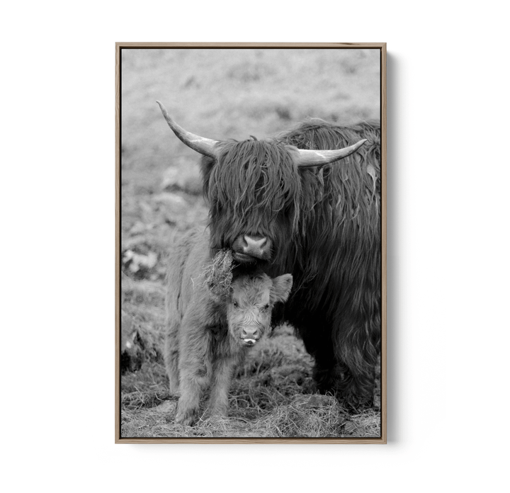 Highland Pair - Black &amp; White Photographic Print, Stretched Canvas or Wall Art Print - I Heart Wall Art - Poster Print, Canvas Print or Framed Art Print