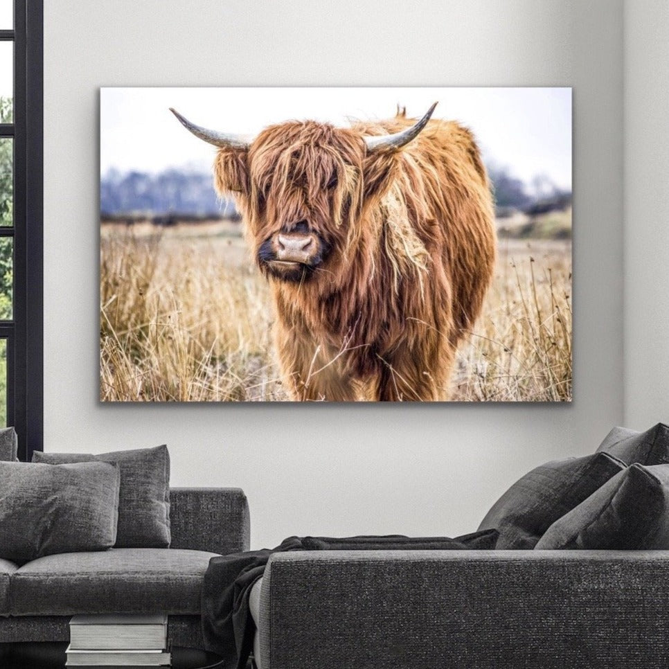 Highlander - Highland Cow Stretched Canvas Wall Art Print - I Heart Wall Art