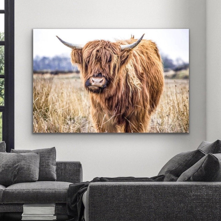Highlander - Highland Cow Stretched Canvas Wall Art Print - I Heart Wall Art