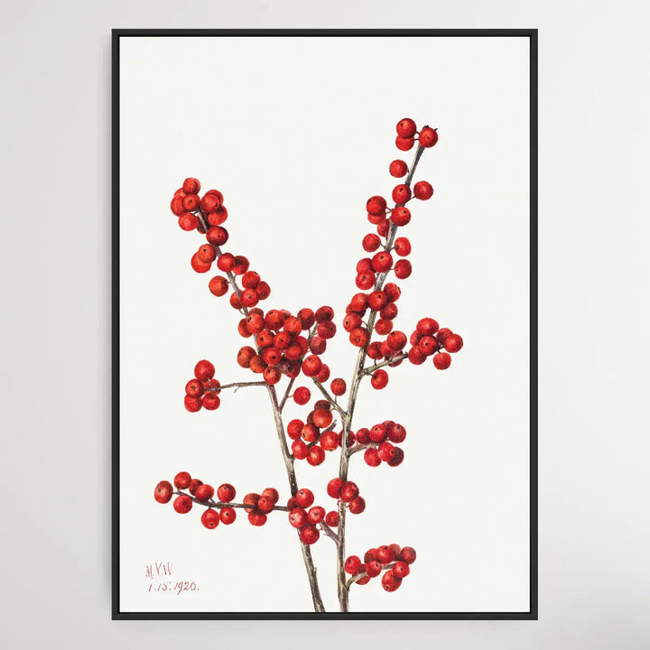 Ilex verticillata (1920) by Mary Vaux Walcott I Heart Wall Art Australia 
