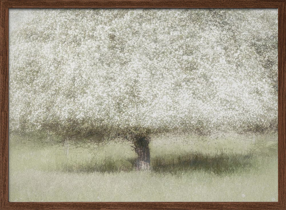 In the backyard - Stretched Canvas, Poster or Fine Art Print I Heart Wall Art