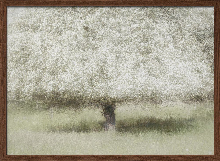 In the backyard - Stretched Canvas, Poster or Fine Art Print I Heart Wall Art