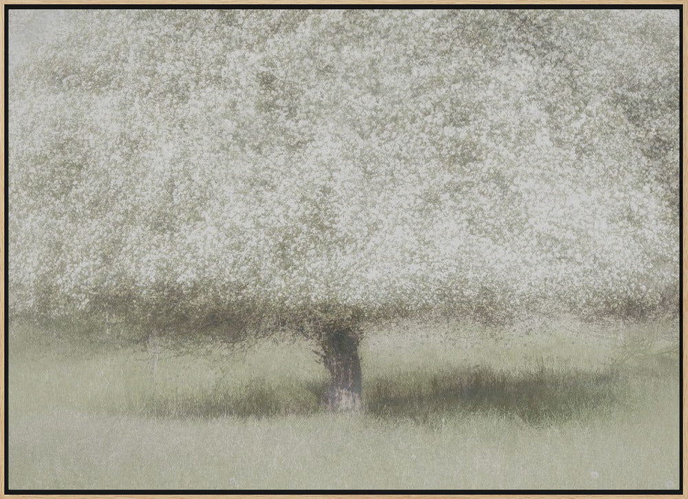 In the backyard - Stretched Canvas, Poster or Fine Art Print I Heart Wall Art