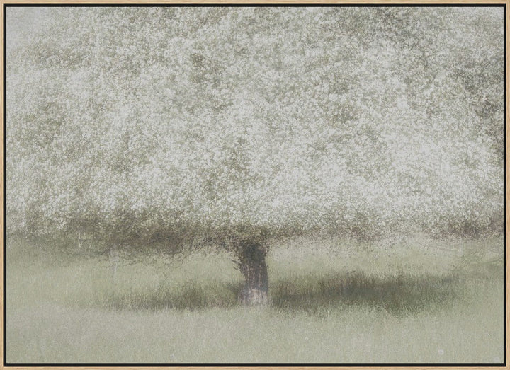 In the backyard - Stretched Canvas, Poster or Fine Art Print I Heart Wall Art