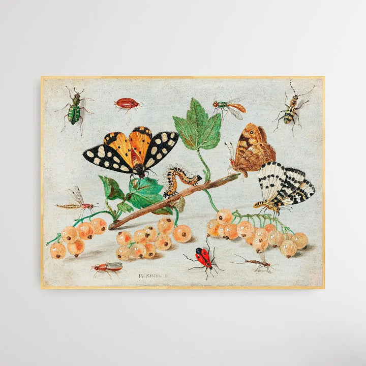 Insects and Fruits (1660–1665) by Jan van Kessel - I Heart Wall Art