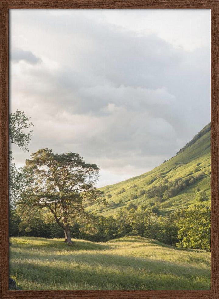 Into the Highlands - Stretched Canvas, Poster or Fine Art Print I Heart Wall Art