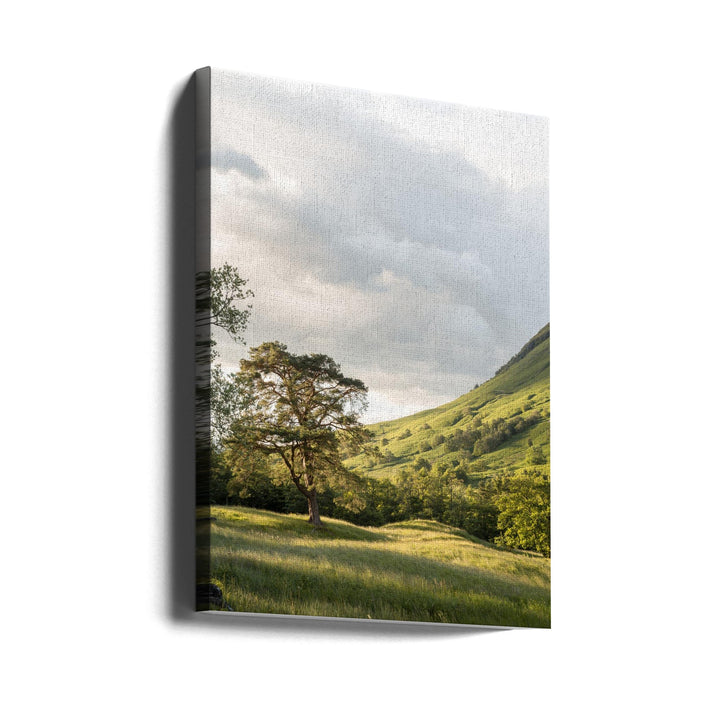 Into the Highlands - Stretched Canvas, Poster or Fine Art Print I Heart Wall Art
