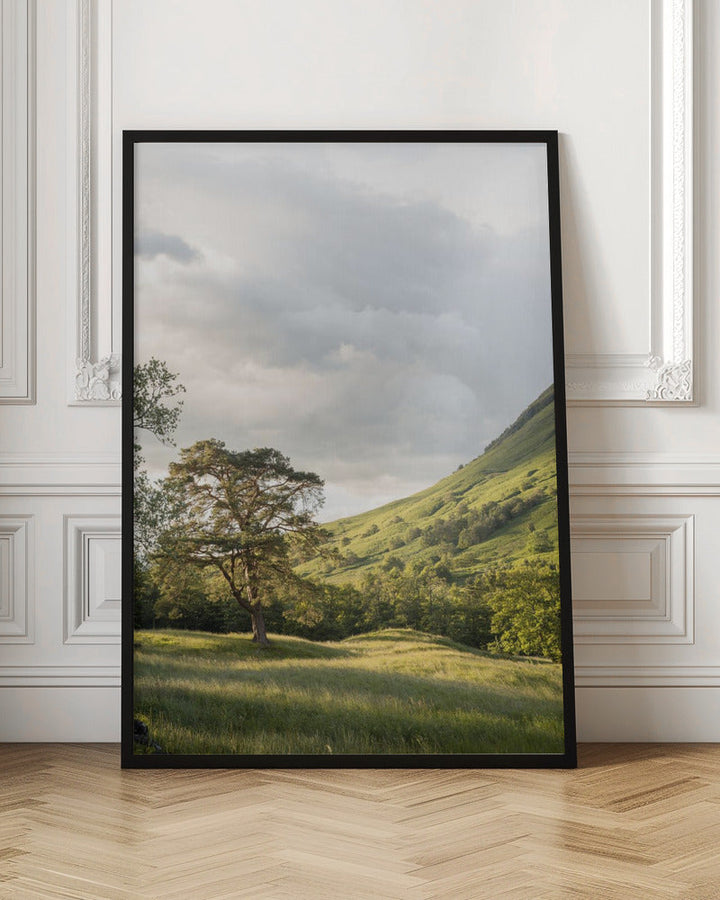 Into the Highlands - Stretched Canvas, Poster or Fine Art Print I Heart Wall Art