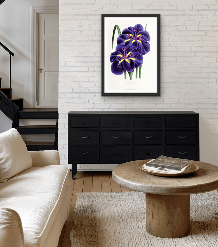 Iris from The Floral Magazine (1861 - 1881) by Worthington G. Smith, John N. Fitch and Walter H. Fitch - Botanical Illustration Stretched Canvas or Wall Art Print - I Heart Wall Art - Poster Print, Canvas Print or Framed Art Print
