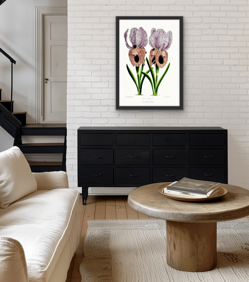 Iris of Flower artists of Kew from The Floral Magazine (1861 - 1881) by Worthington G. Smith, John N. Fitch and Walter H. Fitch - Botanical Illustration Stretched Canvas or Wall Art Print - I Heart Wall Art - Poster Print, Canvas Print or Framed Art Print