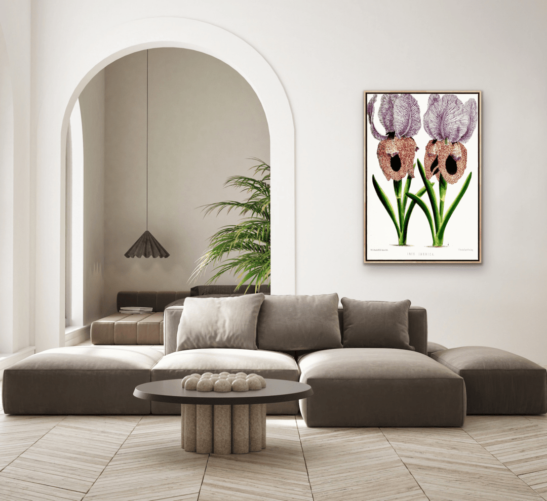 Iris of Flower artists of Kew from The Floral Magazine (1861 - 1881) by Worthington G. Smith, John N. Fitch and Walter H. Fitch - Botanical Illustration Stretched Canvas or Wall Art Print - I Heart Wall Art - Poster Print, Canvas Print or Framed Art Print