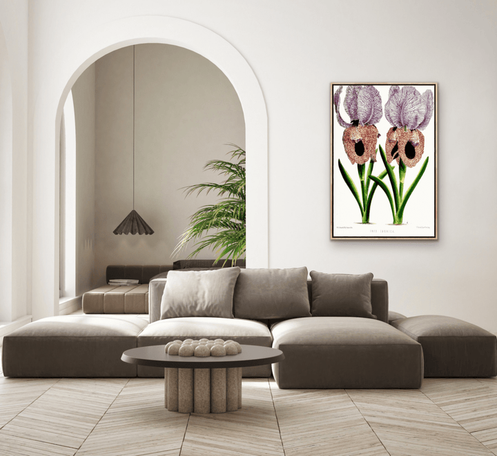 Iris of Flower artists of Kew from The Floral Magazine (1861 - 1881) by Worthington G. Smith, John N. Fitch and Walter H. Fitch - Botanical Illustration Stretched Canvas or Wall Art Print - I Heart Wall Art - Poster Print, Canvas Print or Framed Art Print