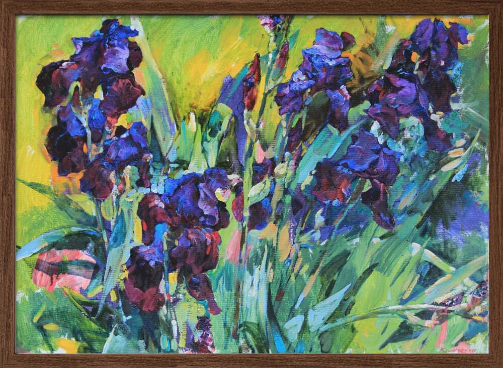Irises - Stretched Canvas, Poster or Fine Art Print - I Heart Wall Art - Poster Print, Canvas Print or Framed Art Print