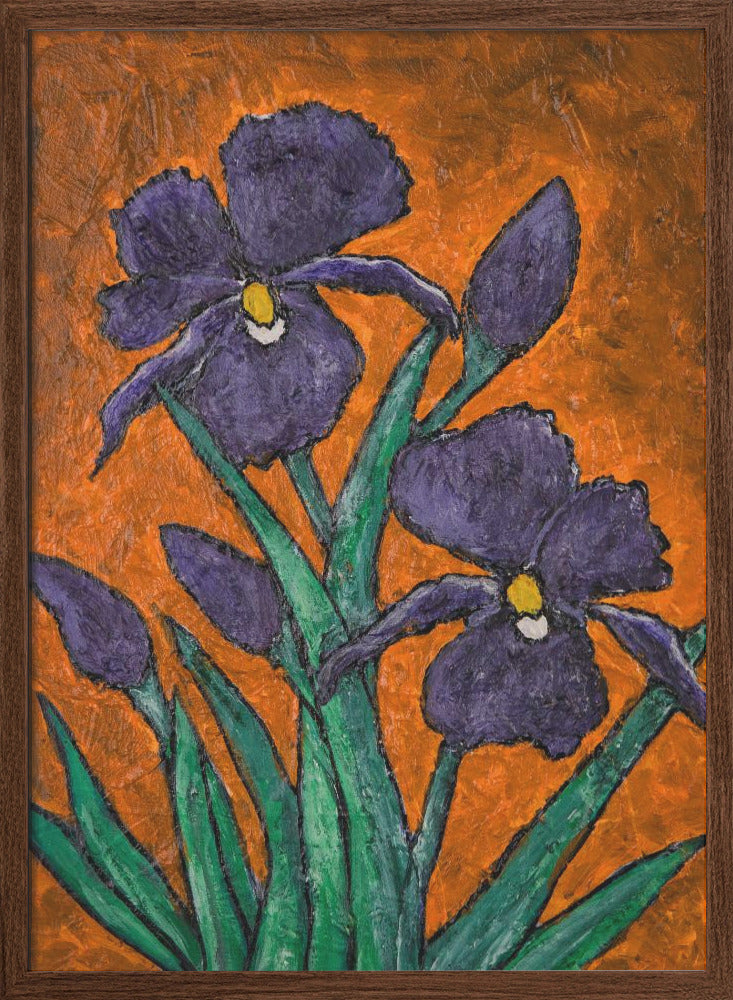 Irises - Stretched Canvas, Poster or Fine Art Print I Heart Wall Art