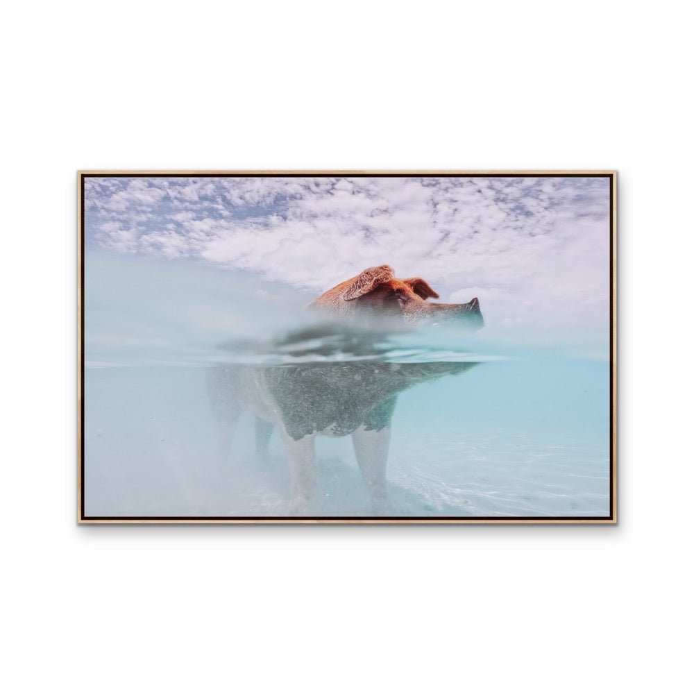Island Pig - Bahamas Swimming Pig Photographic Art Print - I Heart Wall Art - Poster Print, Canvas Print or Framed Art Print