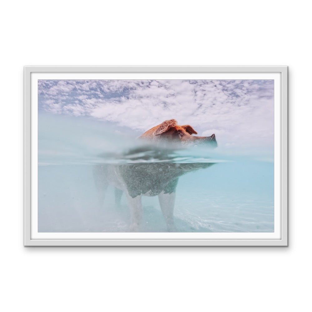 Island Pig - Bahamas Swimming Pig Photographic Art Print - I Heart Wall Art - Poster Print, Canvas Print or Framed Art Print