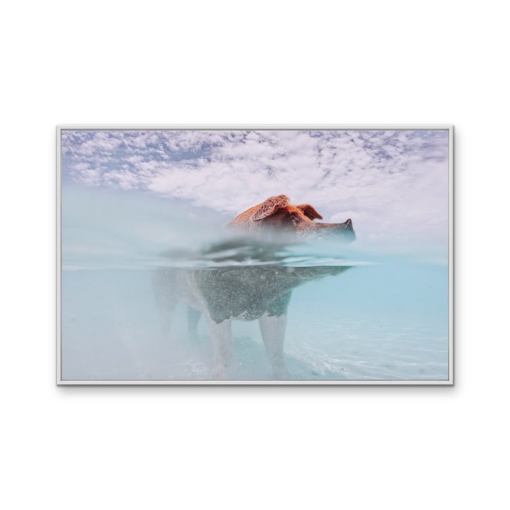 Island Pig - Bahamas Swimming Pig Photographic Art Print - I Heart Wall Art - Poster Print, Canvas Print or Framed Art Print