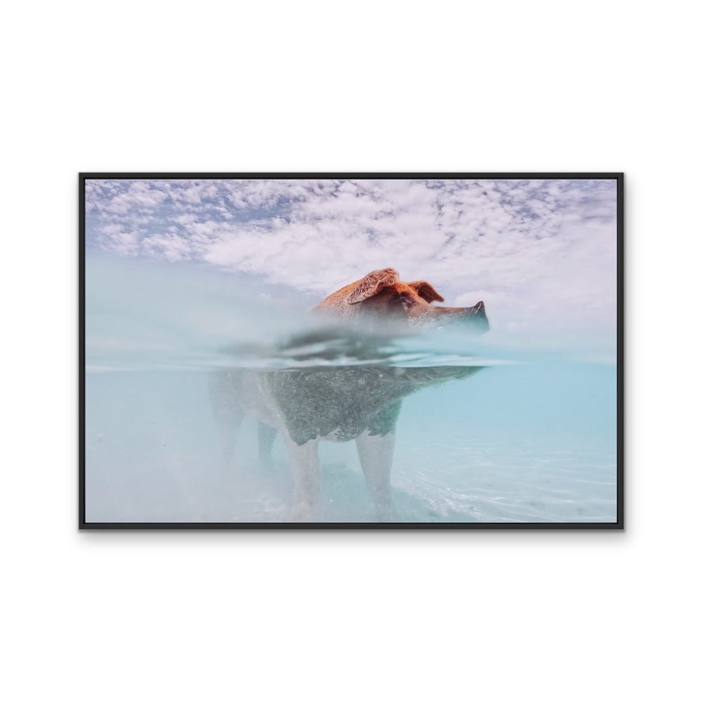 Island Pig - Bahamas Swimming Pig Photographic Art Print - I Heart Wall Art - Poster Print, Canvas Print or Framed Art Print