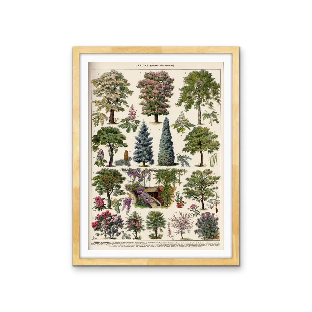 Jardins Arbres II Vintage Scientific Chart - Stretched Canvas Print or Framed Fine Art Print - Artwork I Heart Wall Art Australia