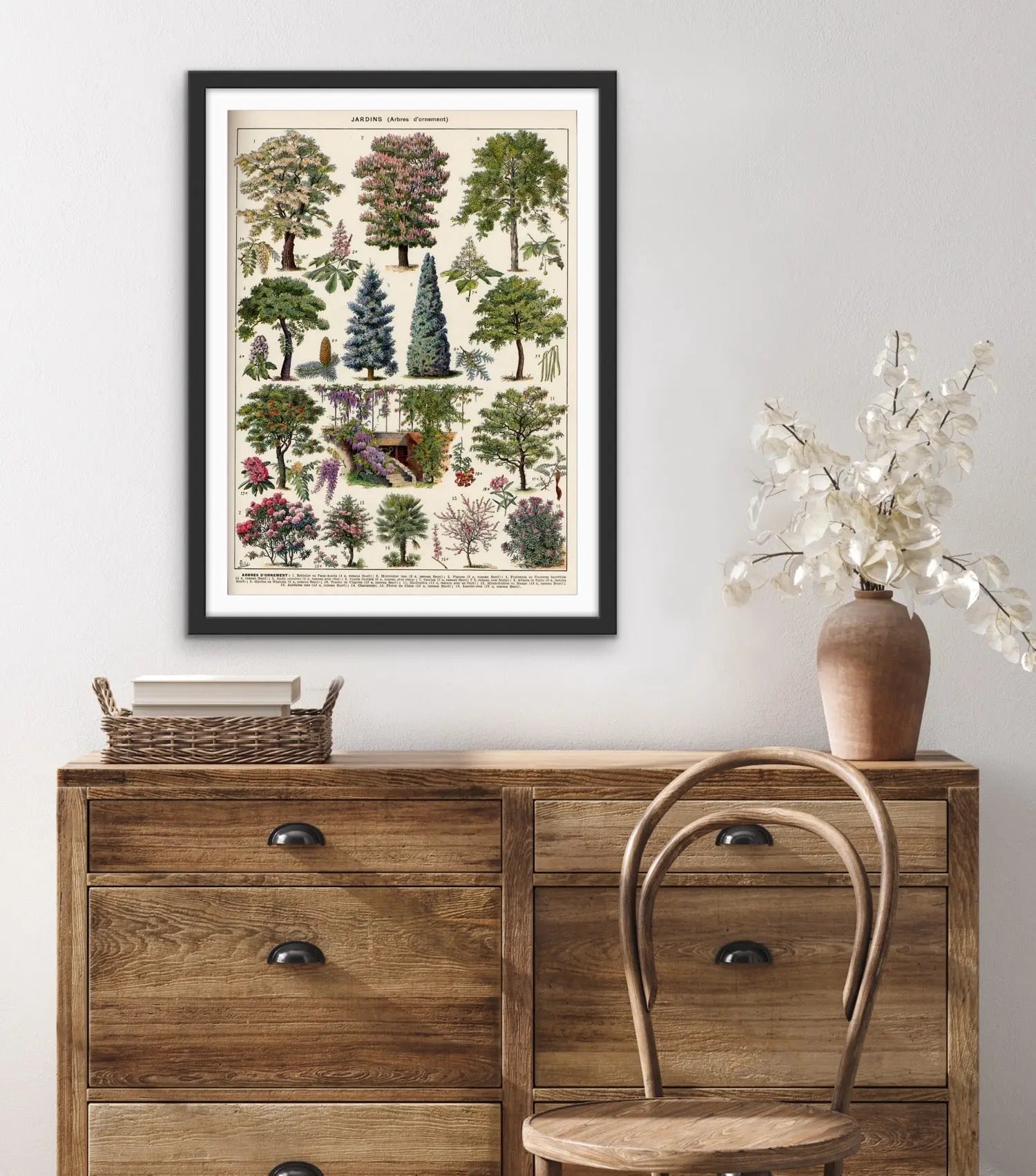 Jardins Arbres II Vintage Scientific Chart - Stretched Canvas Print or Framed Fine Art Print - Artwork I Heart Wall Art Australia