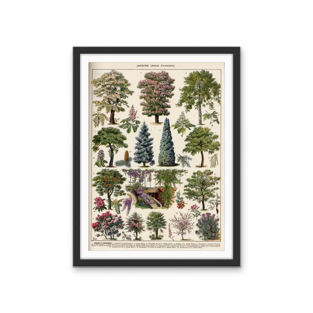 Jardins Arbres II Vintage Scientific Chart - Stretched Canvas Print or Framed Fine Art Print - Artwork I Heart Wall Art Australia