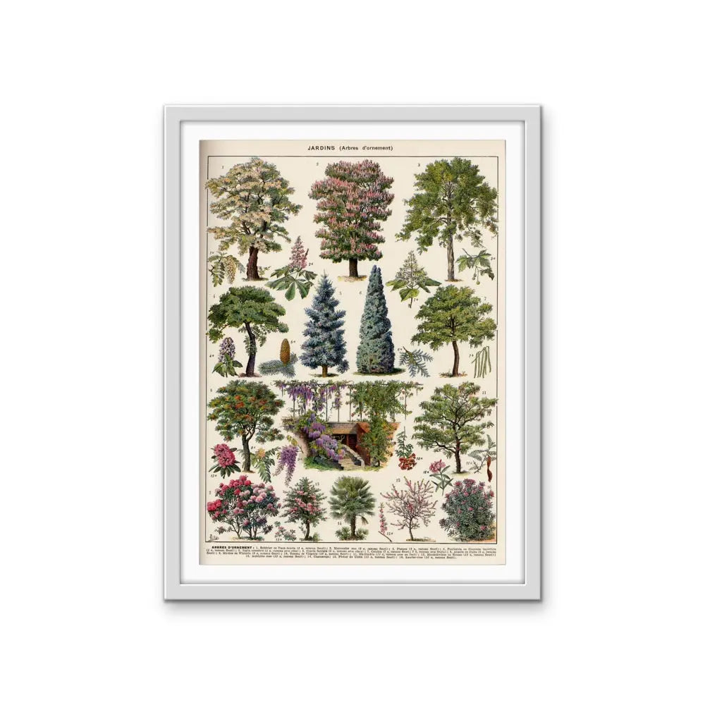 Jardins Arbres II Vintage Scientific Chart - Stretched Canvas Print or Framed Fine Art Print - Artwork I Heart Wall Art Australia