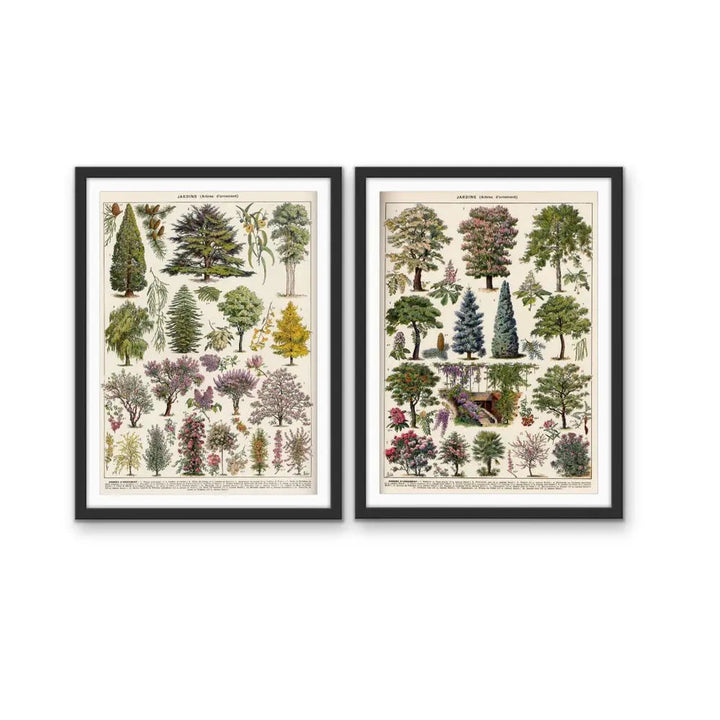 Jardins Arbres - Two Piece Vintage Tree Illustration Set- Stretched Canvas or Art Print Set Diptych I Heart Wall Art Australia
