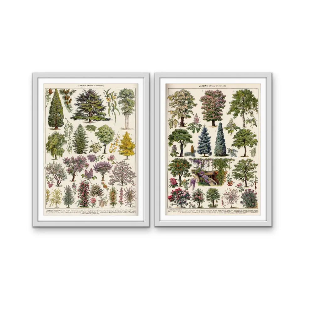 Jardins Arbres - Two Piece Vintage Tree Illustration Set- Stretched Canvas or Art Print Set Diptych I Heart Wall Art Australia