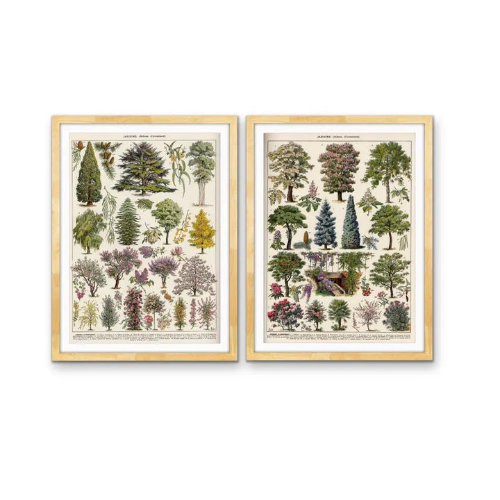 Jardins Arbres - Two Piece Vintage Tree Illustration Set- Stretched Canvas or Art Print Set Diptych I Heart Wall Art Australia