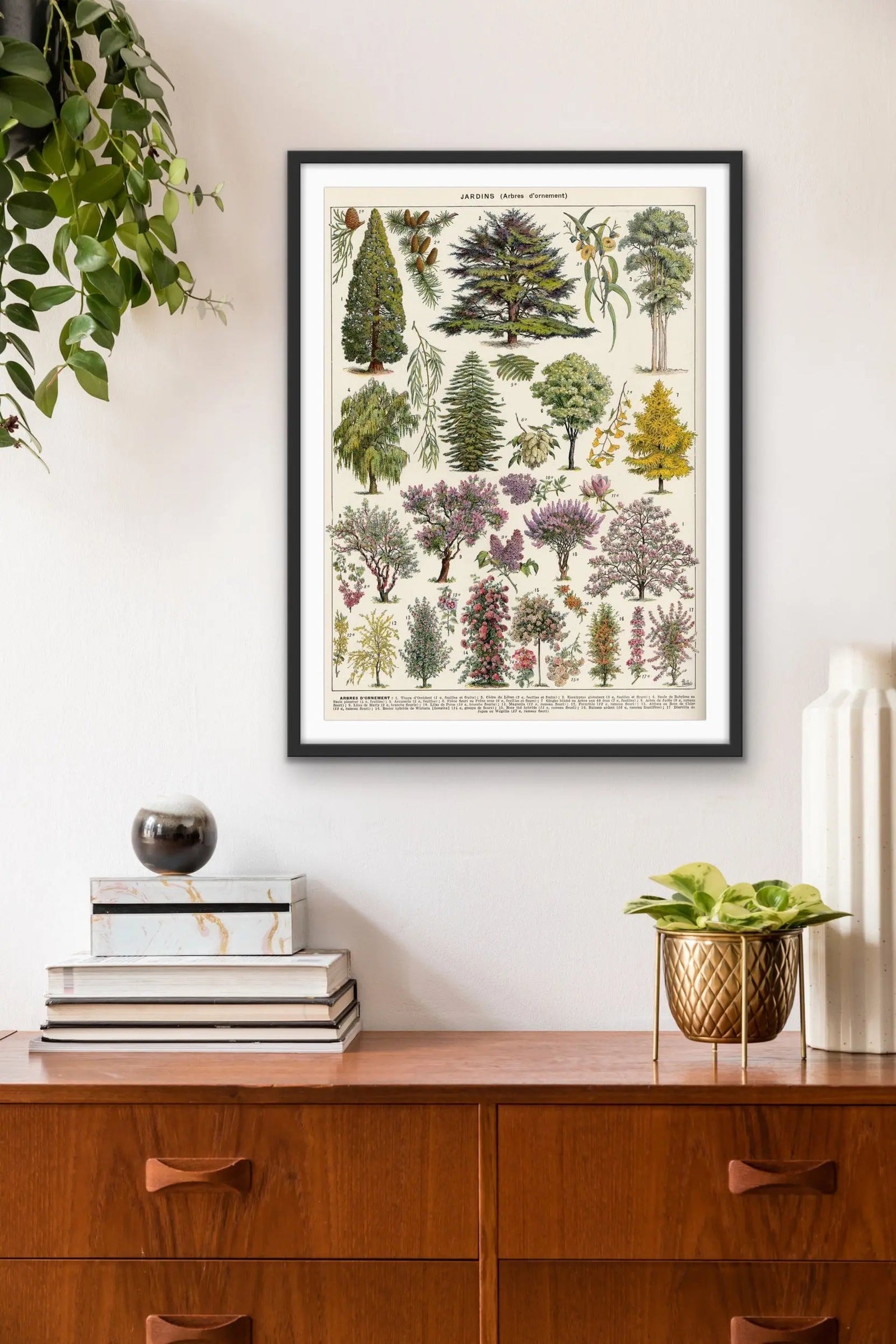 Jardins Arbres Vintage Scientific Chart - Stretched Canvas Print or Framed Fine Art Print - Artwork I Heart Wall Art Australia