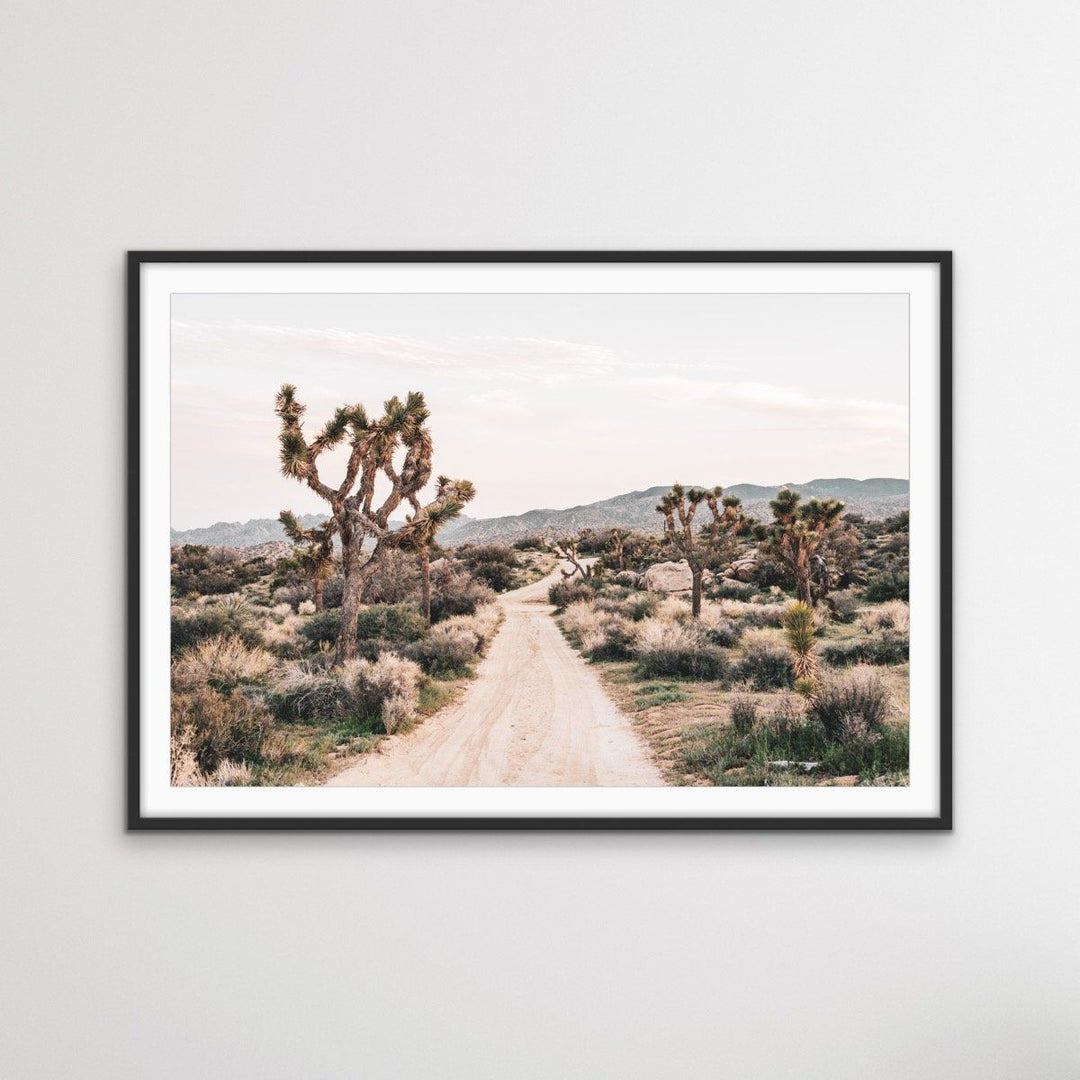 Joshua Tree - Desert Photographic Print With Cactus - I Heart Wall Art