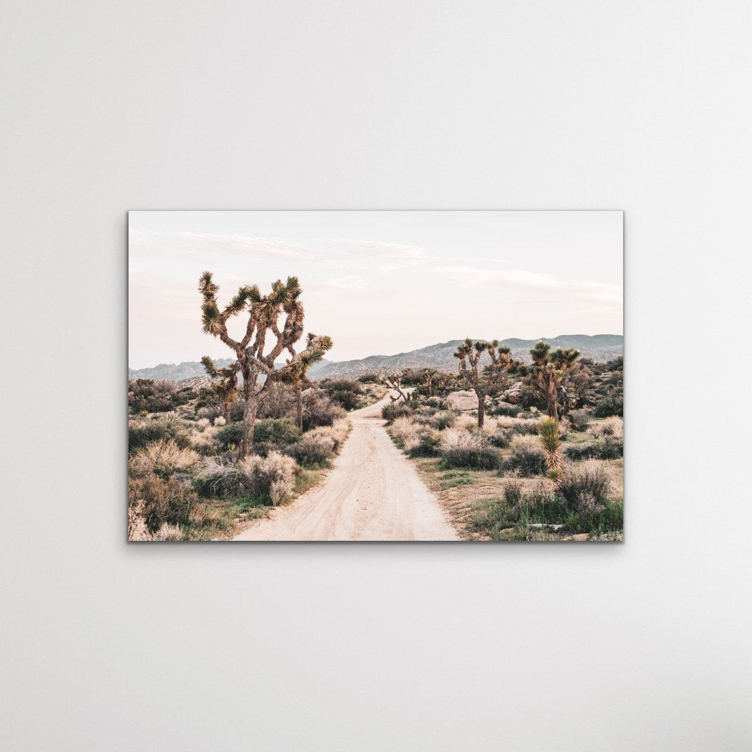 Joshua Tree - Desert Photographic Print With Cactus - I Heart Wall Art
