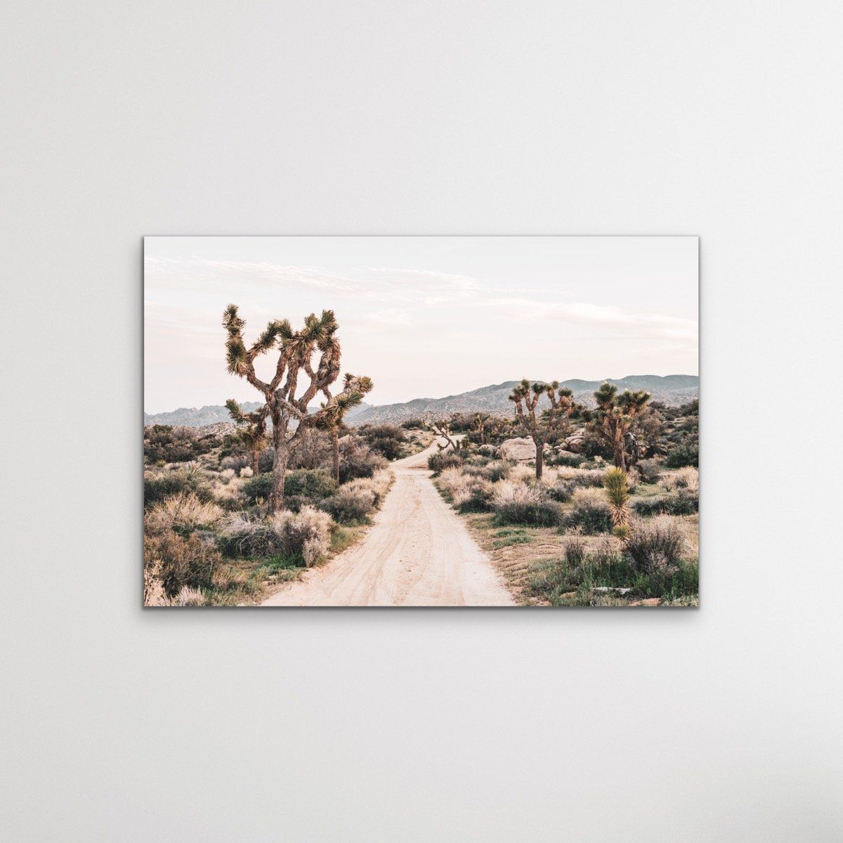Joshua Tree - Desert Photographic Print With Cactus - I Heart Wall Art