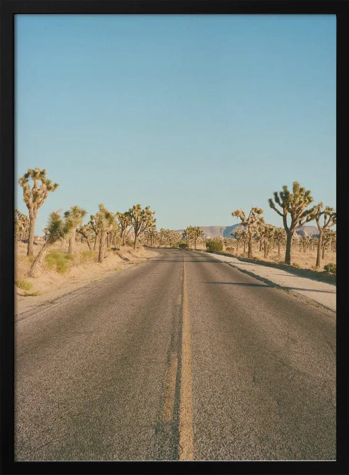 Joshua Tree Road II - Stretched Canvas, Poster or Fine Art Print I Heart Wall Art